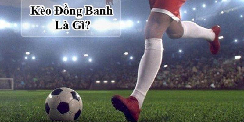 Kèo Đồng Banh - Cơ Hội Làm Giàu Cho Người Đam Mê Cá Cược